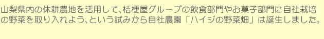 山梨県内の休耕農地を活用して、桔梗屋グループの飲食部門やお菓子部門に自社栽培の野菜を取り入れよう、という試みから自社農園「ハイジの野菜畑」は誕生しました。